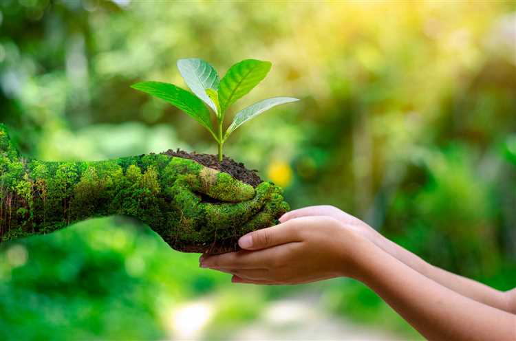 Битва за экологию: 10 способов стать eco-friendly компанией
